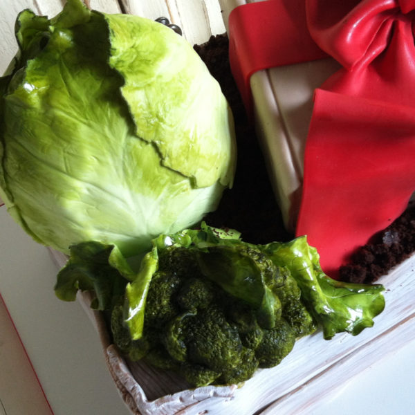 brassicaceae-03