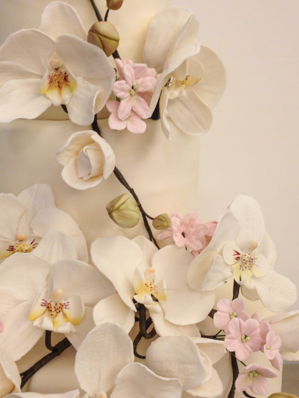 torta orchidea